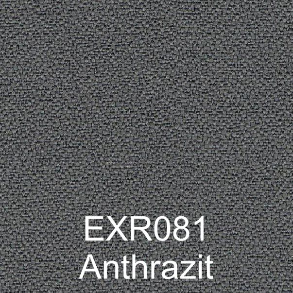 EXR081 - Anthrazit
